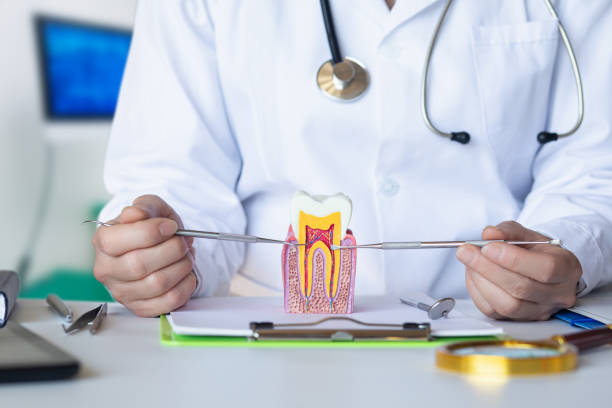 Best Emergency Dental Surgery in Holmen, WI